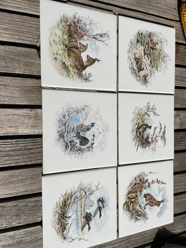 Wandtegels dieren in de natuur, Antiek en Kunst, Ophalen