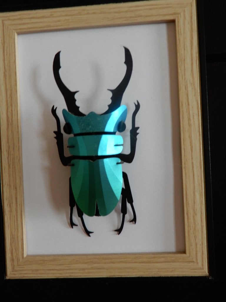 Assembli papieren insect Vliegend Hert decoratie / DIY, Ophalen of Verzenden, Gebruikt, Papier/karton, Decoratieobject