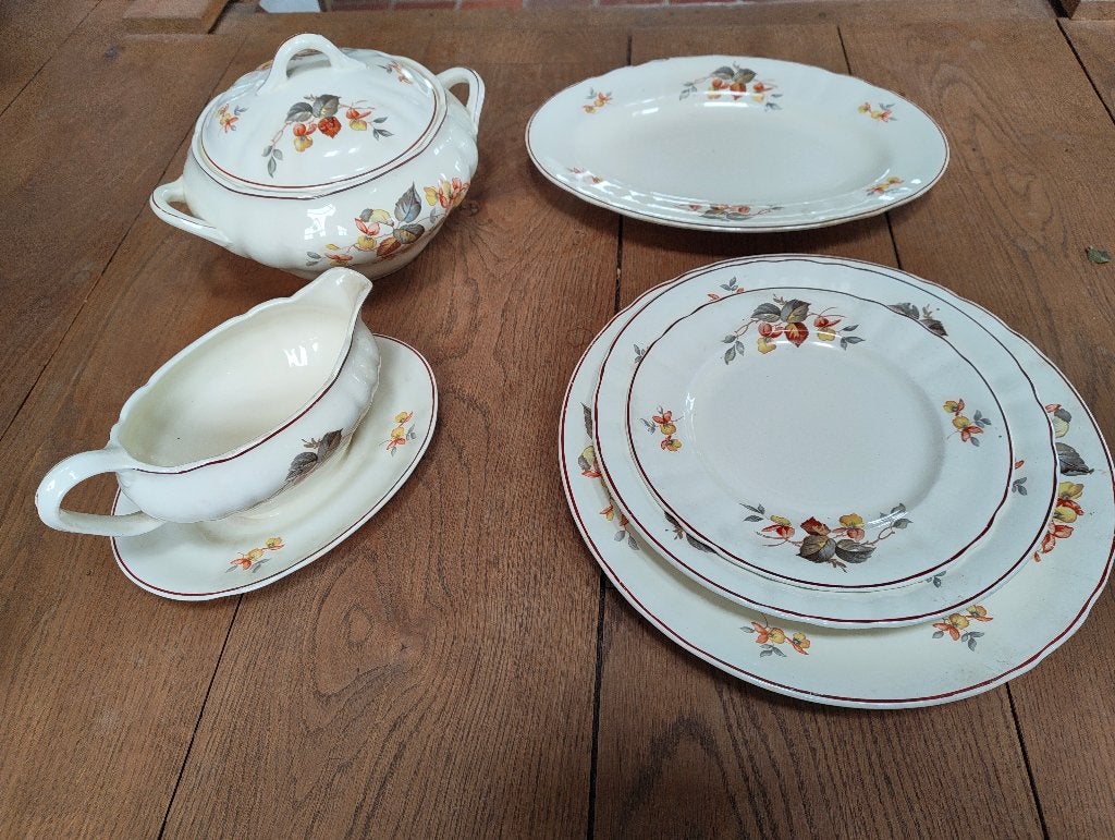Vintage Servies Compleet voor 12 Personen - Bloemenpatroon, Ophalen