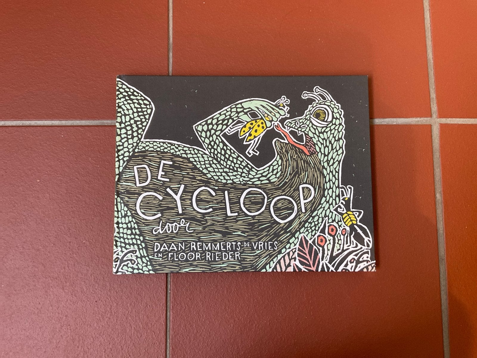 De Cycloop - Daan Remmerts de Vries en Floor Rieder, Ophalen of Verzenden, Zo goed als nieuw