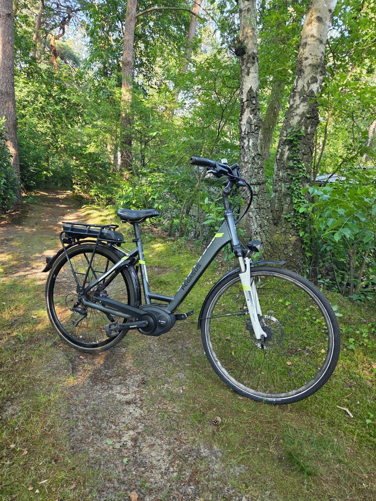 Pegasus Solero E8F elektrische fiets met acculader, Fietsen en Brommers, 47 tot 51 cm, Ophalen, Gebruikt, Overige merken