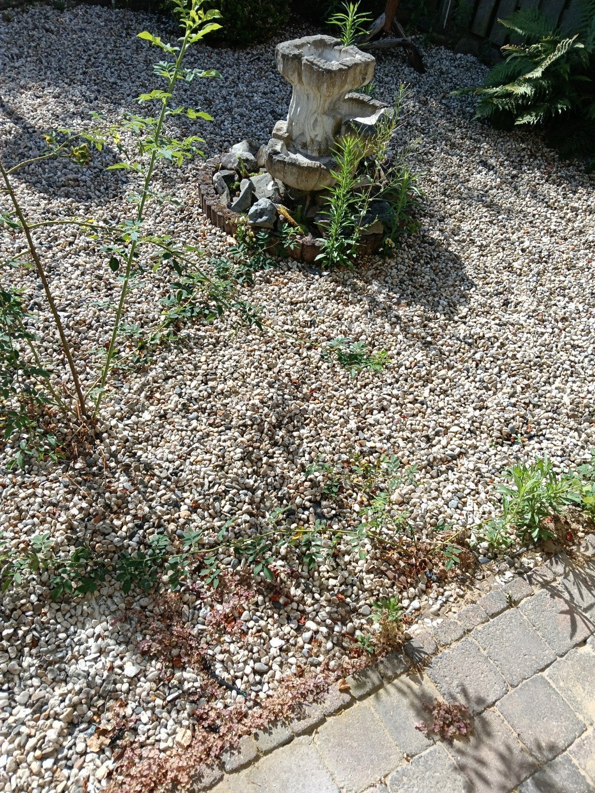 Decoratieve kiezels voor tuin of oprit, Tuin en Terras, Ophalen, Gebruikt, Grijs, Grind