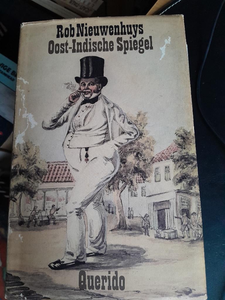 literatuur, Gelezen, Ophalen of Verzenden, Rob nieuwenhuys, Nederland