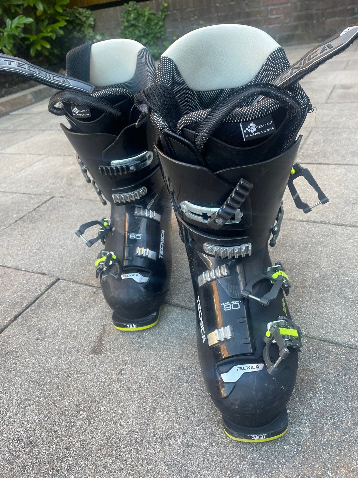 Tecnica Prima Skischoenen - Maat 43, Sport en Fitness, 160 tot 180 cm, Gebruikt, Schoenen, Skiën