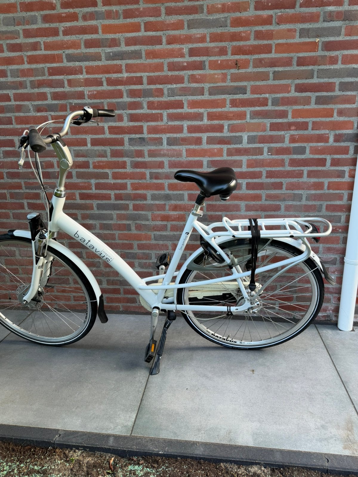 Batavus Mambo, Ophalen, Gebruikt, Batavus, 56 cm of meer