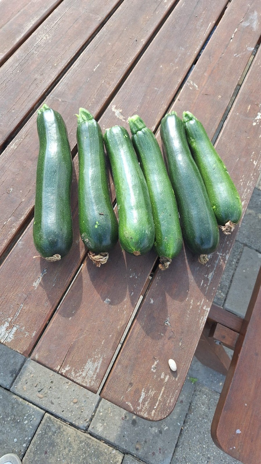Verse biologische courgettes zo van het land, Diversen, Ophalen