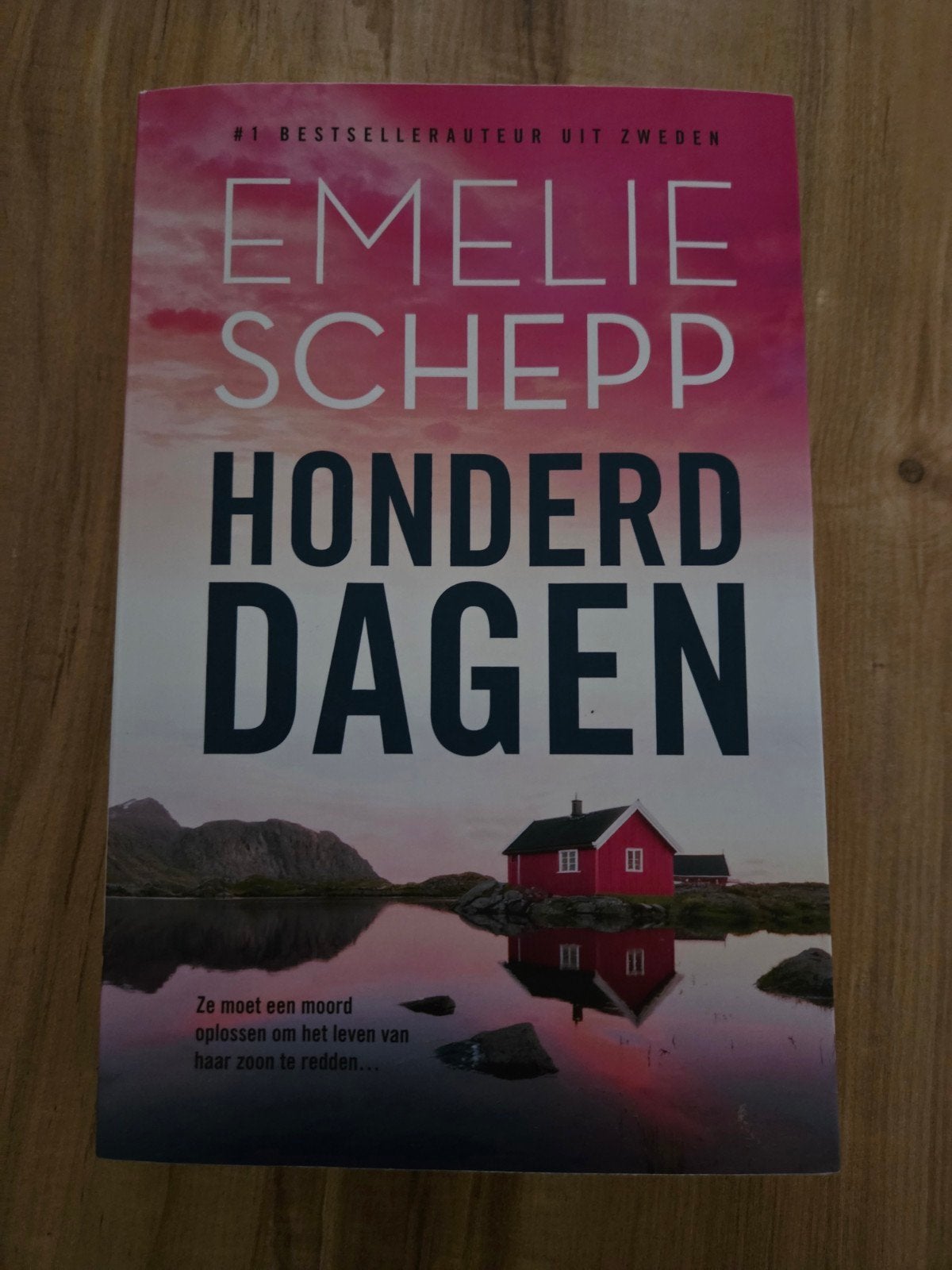 Emelie Schepp - Honderd dagen, Ophalen of Verzenden, Zo goed als nieuw, Emelie Schepp