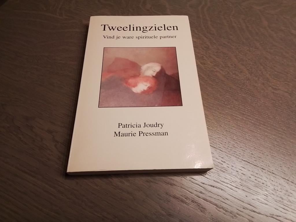 BOEK : TWEELINGZIELEN - VIND JE SPIRITUELE PARTNER, Ophalen of Verzenden, Zo goed als nieuw, Spiritualiteit algemeen, Achtergrond en Informatie