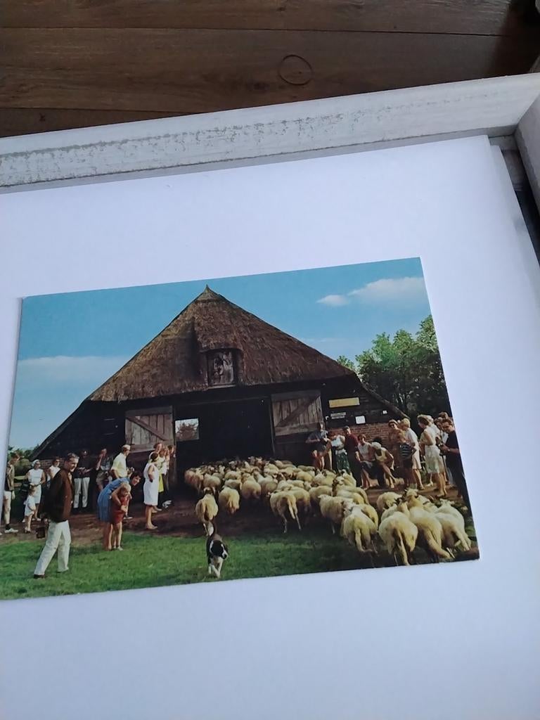 DRENTE. SCHAAPSKOOI, Verzamelen, Ophalen of Verzenden