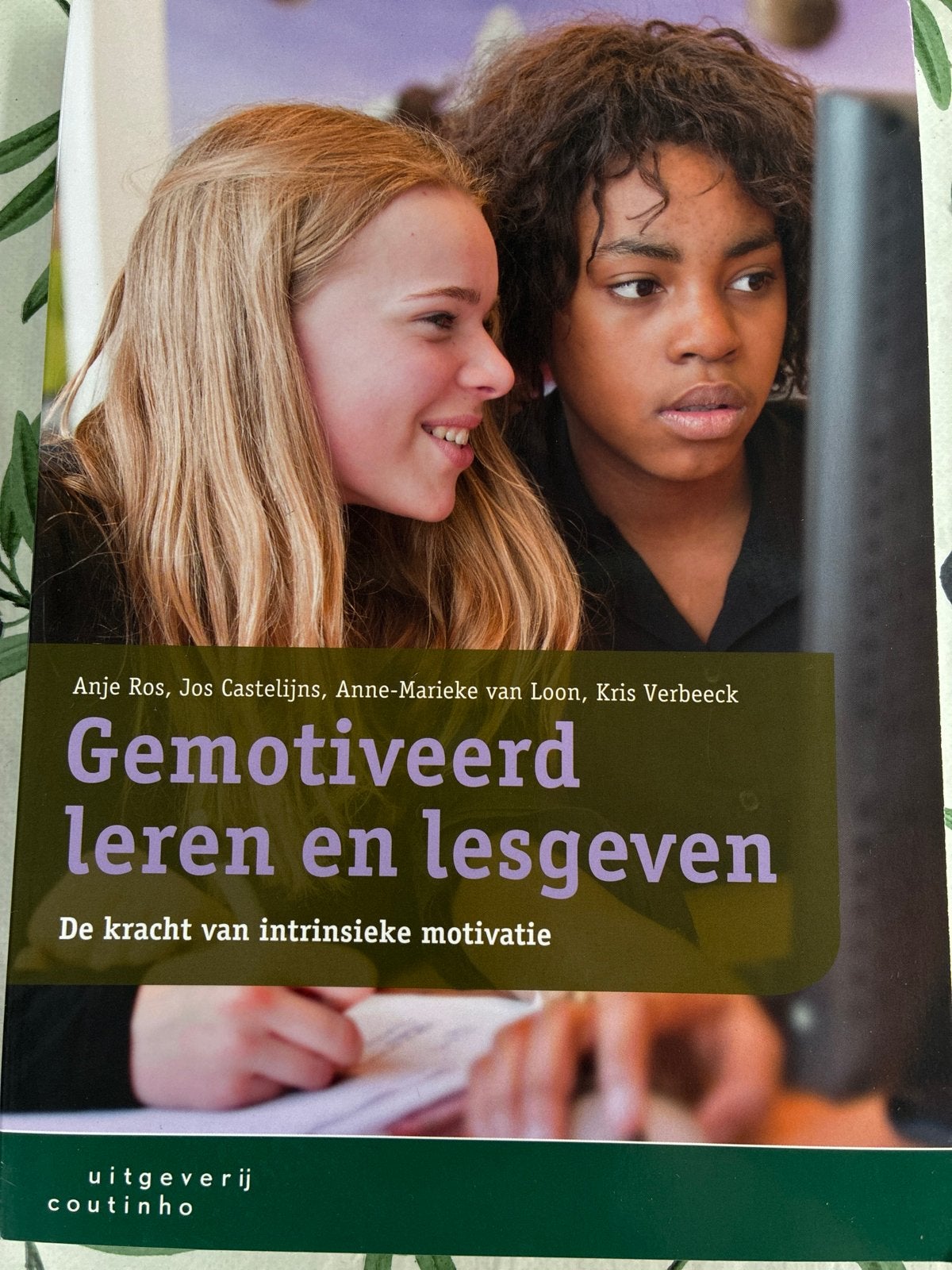 Gemotiveerd leren en lesgeven - Zo goed als nieuw, Boeken, Ophalen of Verzenden, Gamma, Zo goed als nieuw, Overige niveaus