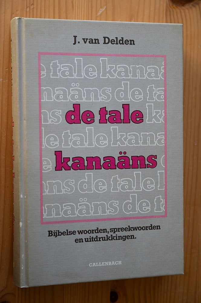 Boek De Tale Kanaäns - Bijbels (spreek)woorden, Boeken, Gelezen, J. van Delden, Ophalen of Verzenden, Christendom | Katholiek