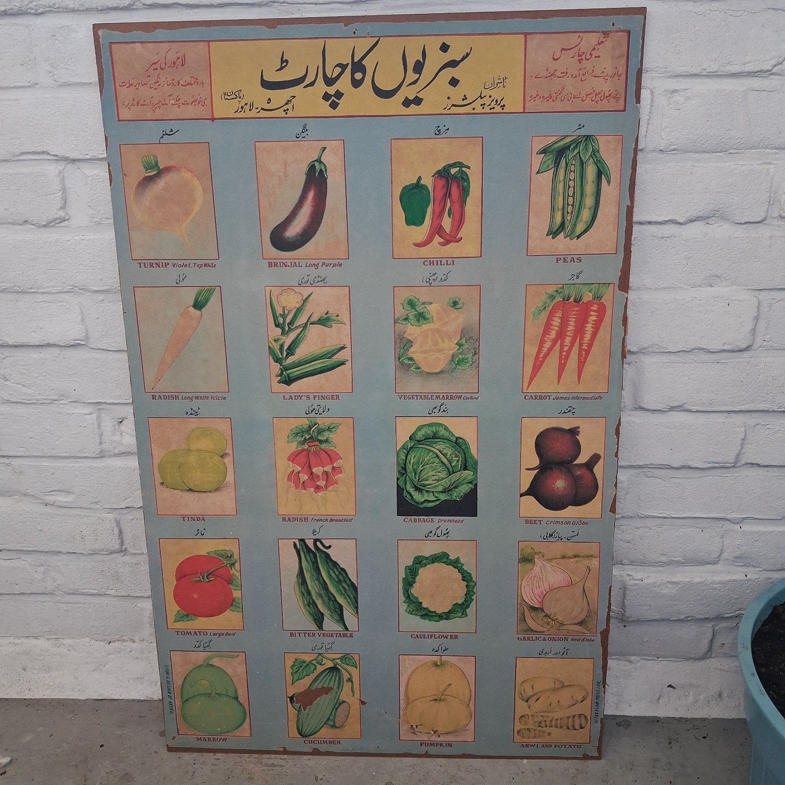 Vintage Urdu/English groente namen poster, Antiek en Kunst, Ophalen