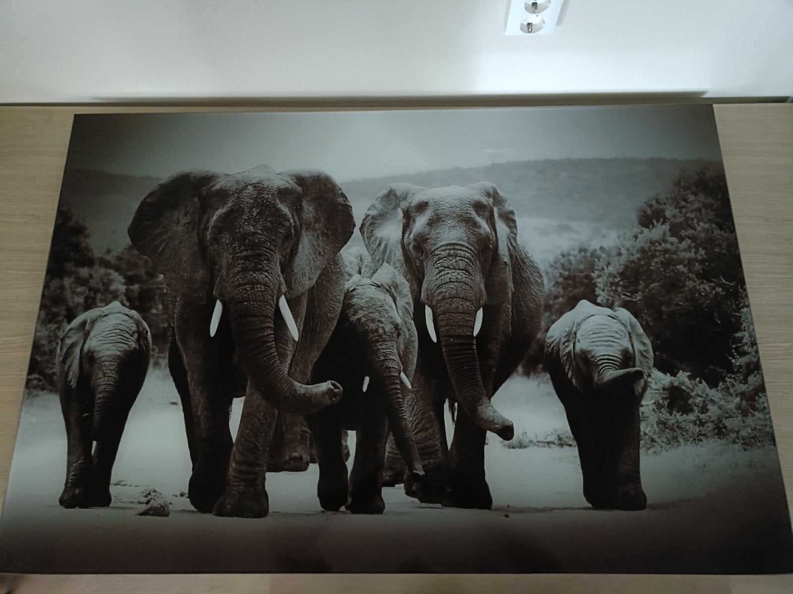 Glasschilderij van olifantenfamilie - 120x80cm, Ophalen, 100 tot 125 cm, 75 – 100, Print