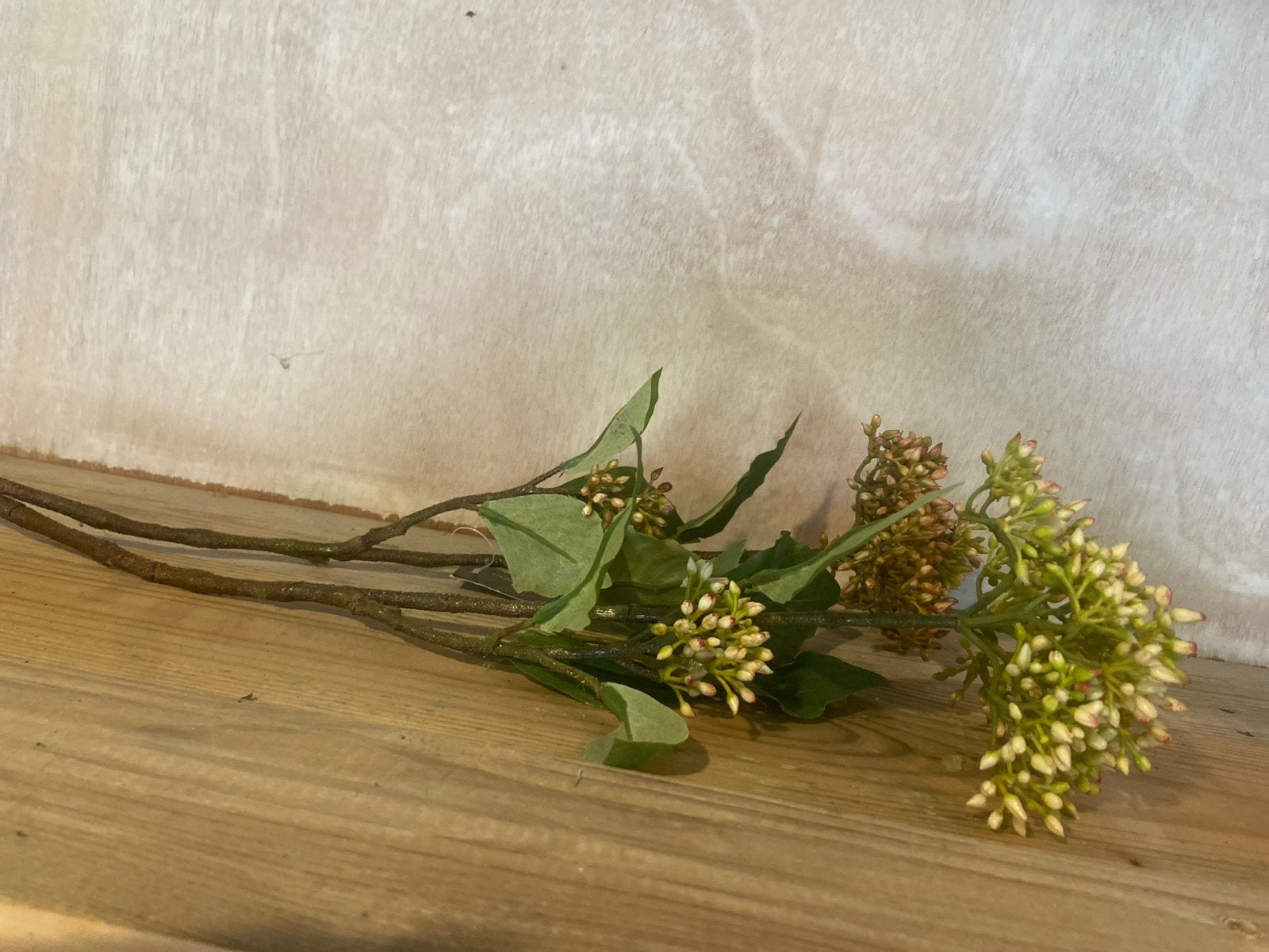 Decoratieve Kunsttakjes - Groen/Bruin, Binnen, Groen, Nieuw, Ophalen of Verzenden