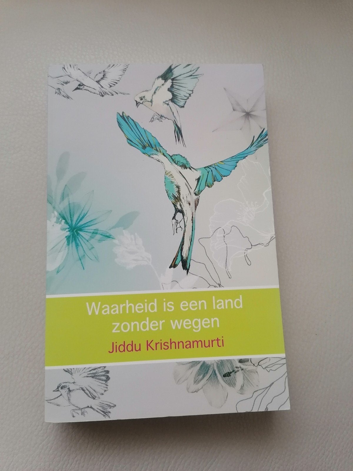 Waarheid is een land zonder wegen - Krishnamurti, Achtergrond en Informatie, Spiritualiteit algemeen, Ophalen of Verzenden, Zo goed als nieuw