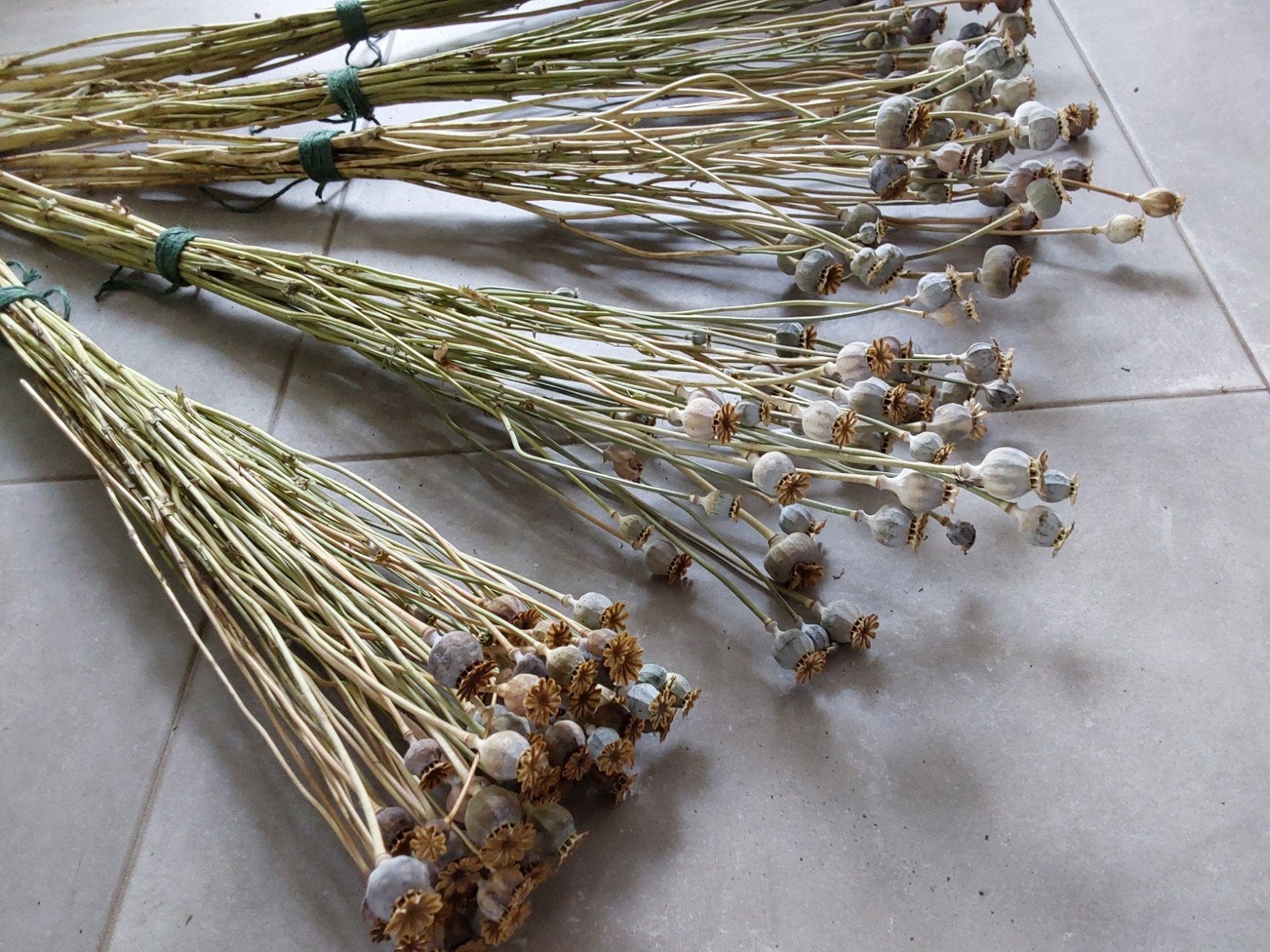 Grote bossen gedroogde papaver bollen (90-95 cm), Huis en Inrichting, Ophalen of Verzenden, Nieuw