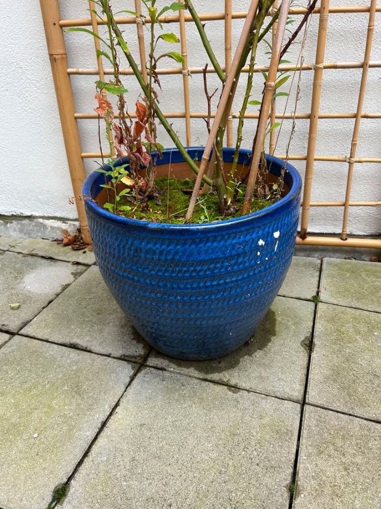 Bloempot buiten, Tuin en Terras, Gebruikt, Rond, Minder dan 40 cm, Ophalen