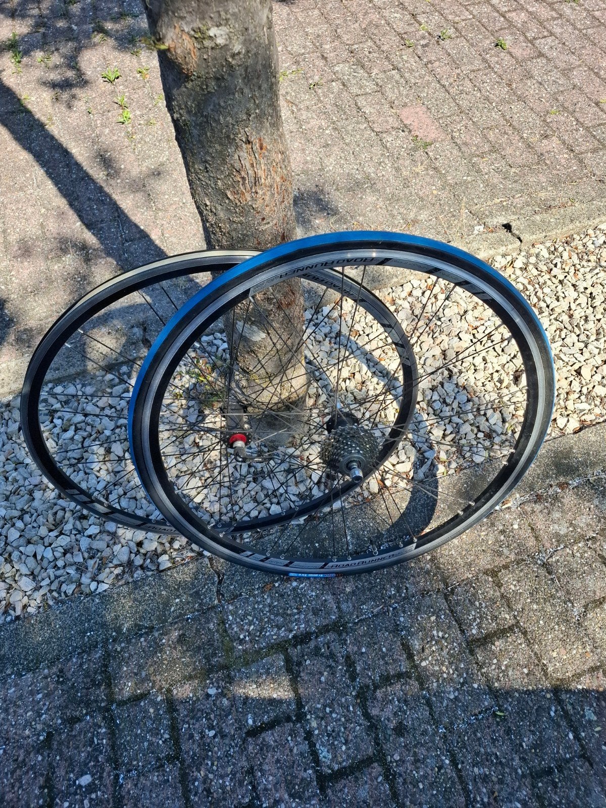 Wielset met banden en cassette - Zo goed als nieuw, Wiel, Ophalen of Verzenden, Zo goed als nieuw, Aluminium