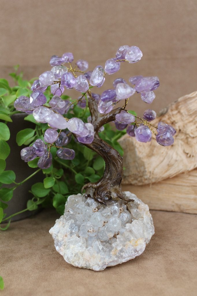 Amethist boompje op kwartskristal cluster, Ophalen of Verzenden, Mineraal