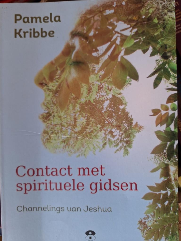 Pamela Kribbe - contact met spirituele gidsen ZGAN, Ophalen of Verzenden, Zo goed als nieuw, Spiritualiteit algemeen, Overige typen