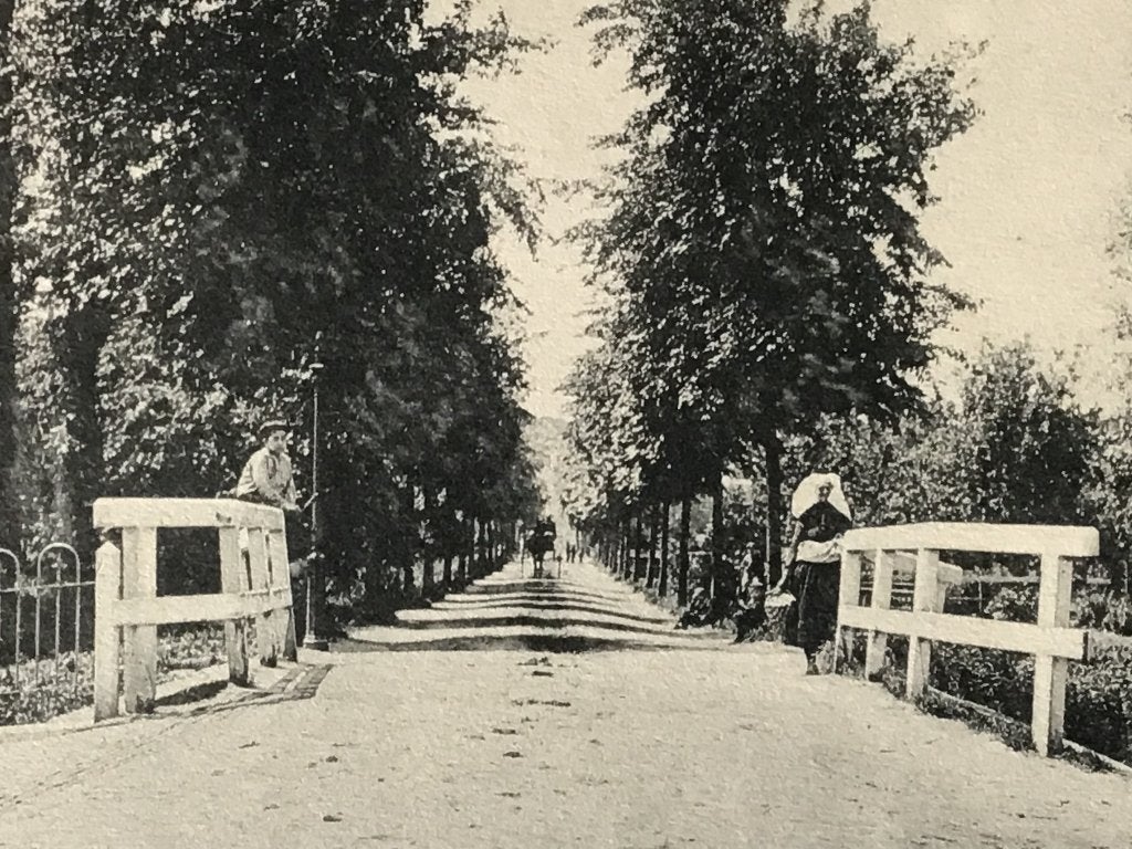 Oude ansicht Zuidland Steenenweg Laan met bomen, 1915-20, Ophalen of Verzenden, Voor 1920, Gelopen, Zuid-Holland
