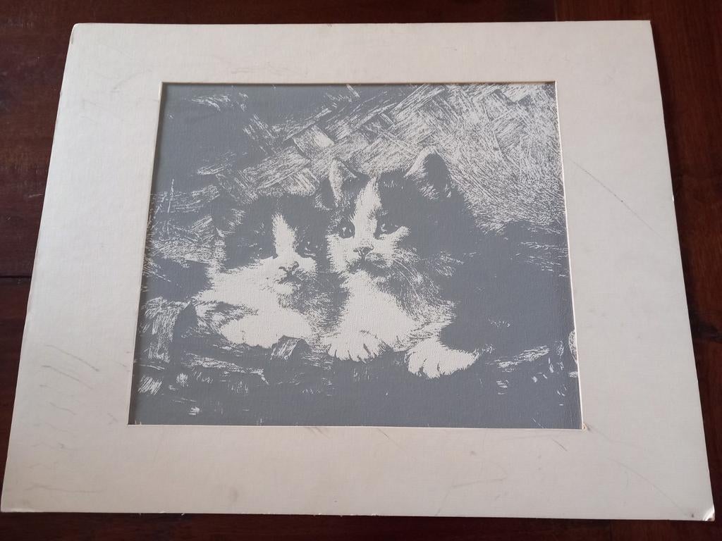 Originele Zeefdruk van 2 poezen (uit kunstgallerij) geldrop, Ophalen of Verzenden
