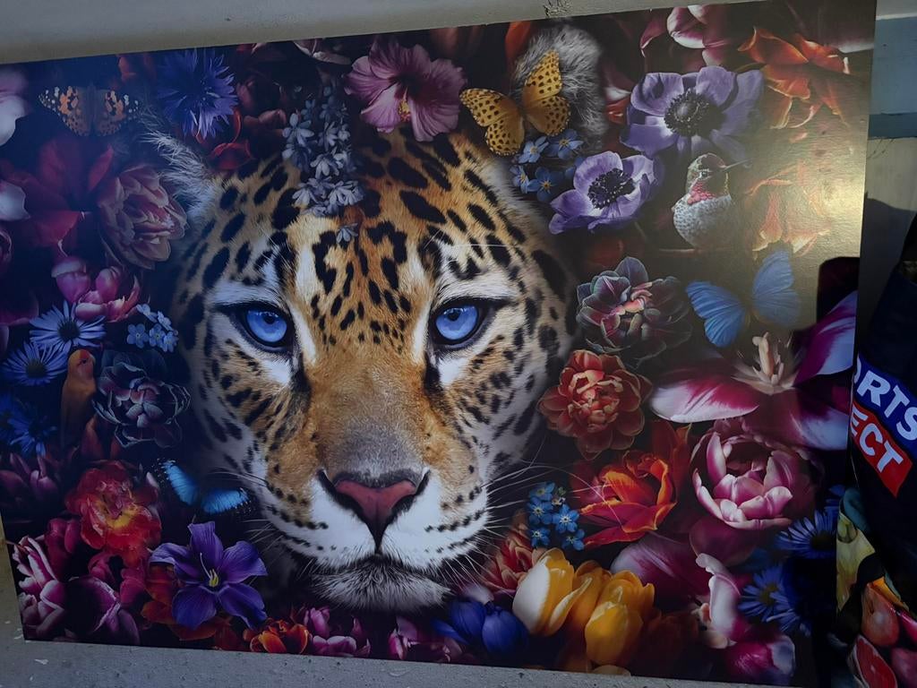 Panter schilderij met veel kleur, Huis en Inrichting, Woonaccessoires | Schilderijen, Tekeningen en Foto's, Ophalen, 125 cm of meer