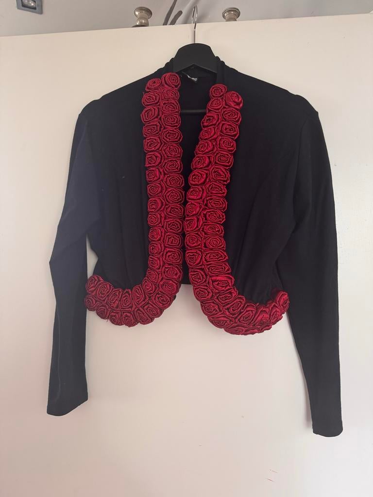 Uniek Retro Vintage Bolero met Rode Satijnen Rozen - Maat 38, Ophalen of Verzenden, Gedragen, Maat 38/40 (M), Zwart