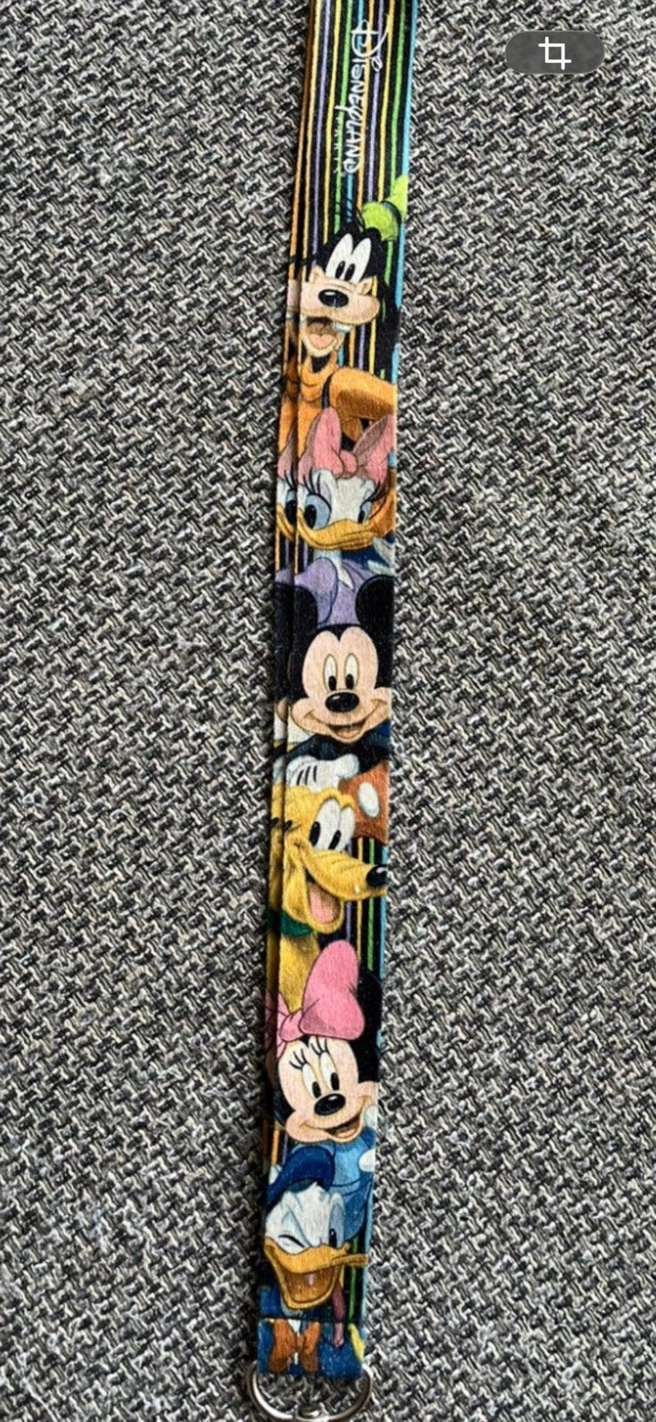 Disneyland keycord gezocht, Ophalen of Verzenden, Zo goed als nieuw, Knuffel of Figuurtje