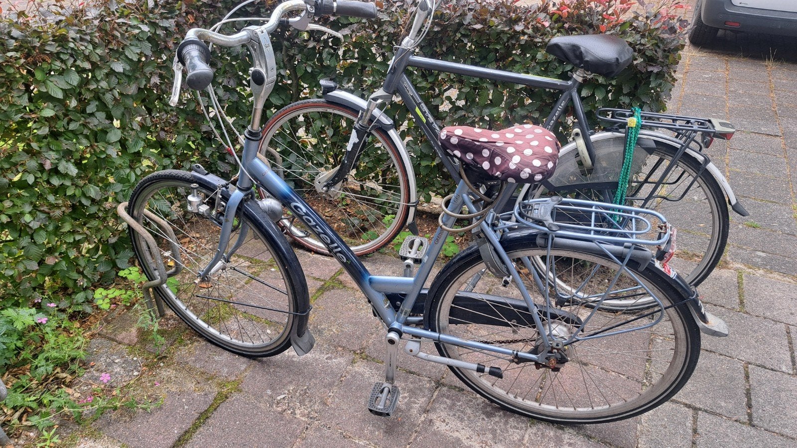 Gazelle damesfiets opknapper, Gebruikt, Versnellingen, Ophalen of Verzenden, 50 tot 53 cm