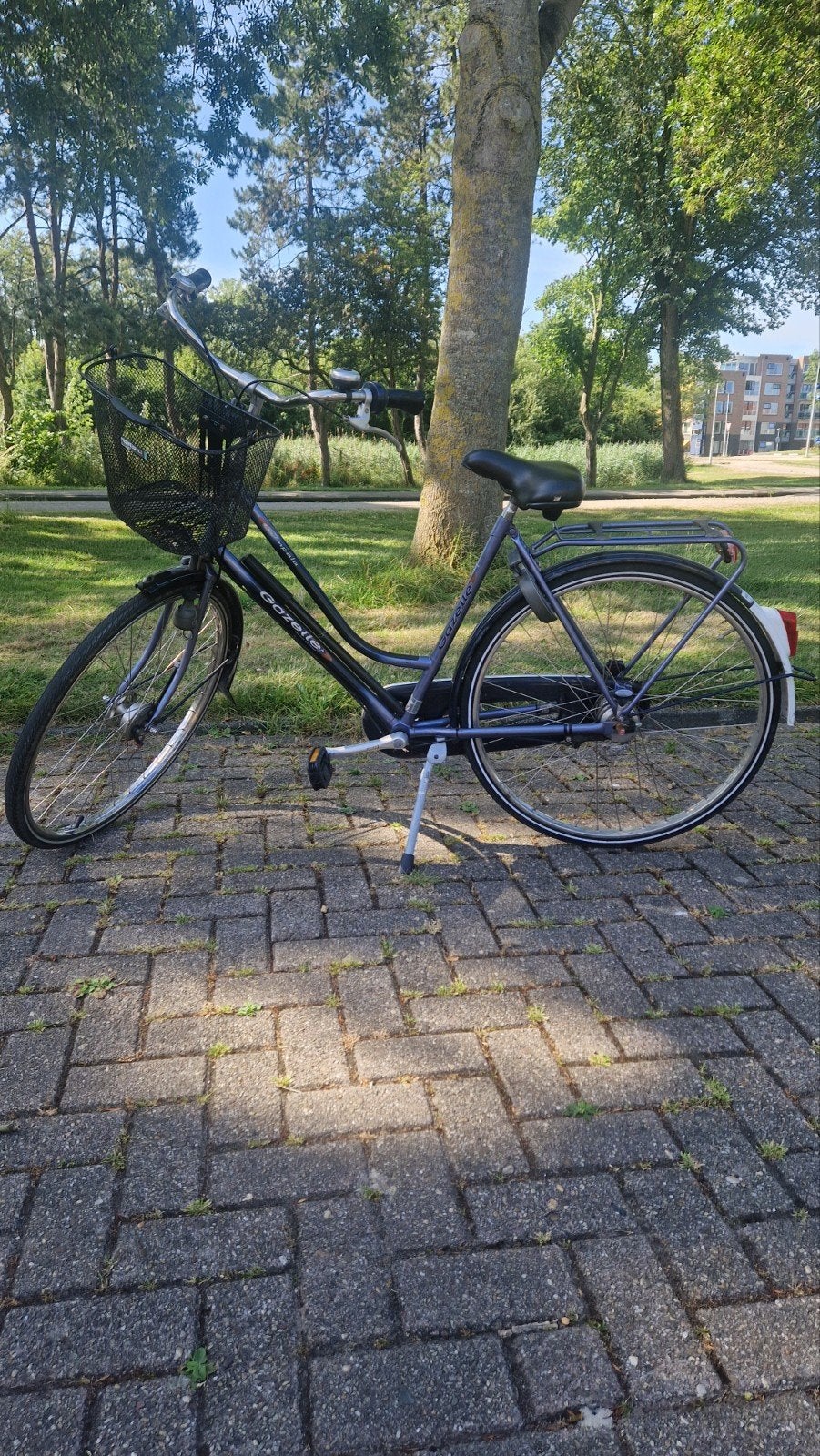Mooie Gazelle damesfiets 4 versn, 53 tot 56 cm, Ophalen, Zo goed als nieuw, Versnellingen