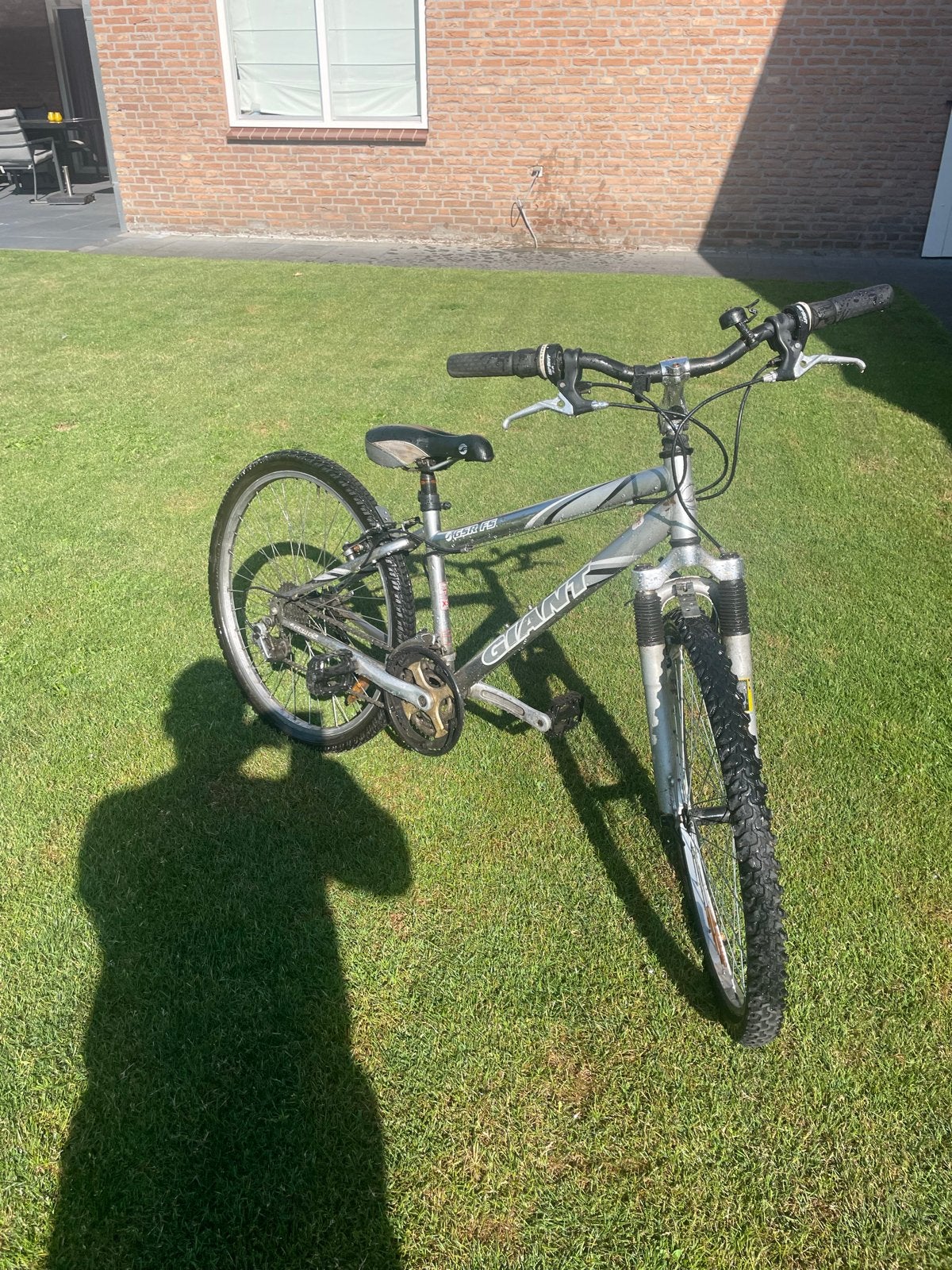 Giant Mountainbike - Gebruikt, in goede staat, Gebruikt, Hardtail, 53 tot 57 cm, Heren