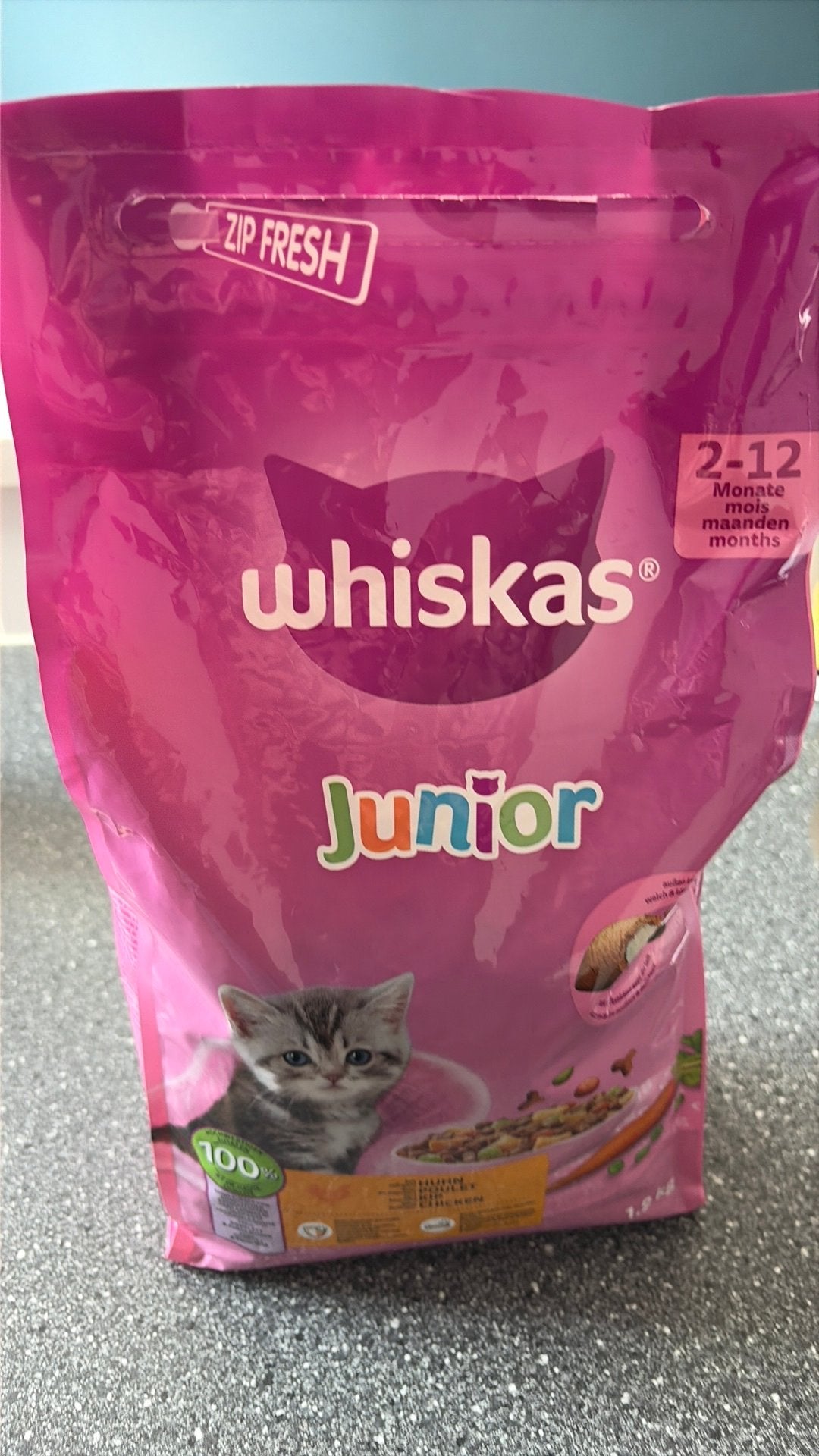 Kittenvoer bieden, Ophalen, Kat