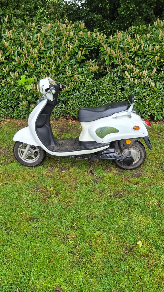 Elektrische Scooter, Fietsen en Brommers, Snorfietsen en Snorscooters, Ophalen of Verzenden, Gebruikt, Elektrisch, Overige merken
