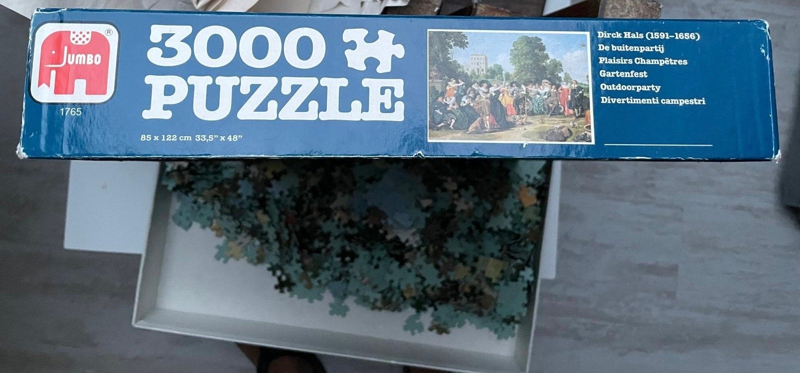 Jumbo 3000 Stukjes Puzzel - Dirk Hals: De buitenpartij, Ophalen, Meer dan 1500 stukjes, Zo goed als nieuw, Legpuzzel