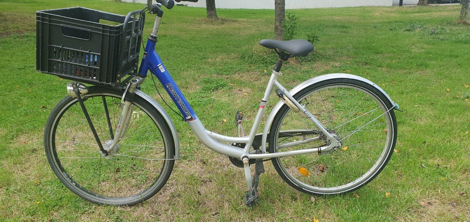 Transportfiets met krat - Ideaal voor dagelijks gebruik, Fietsen en Brommers, Fietsen | Dames | Damesfietsen, Terugtraprem, Versnellingen
