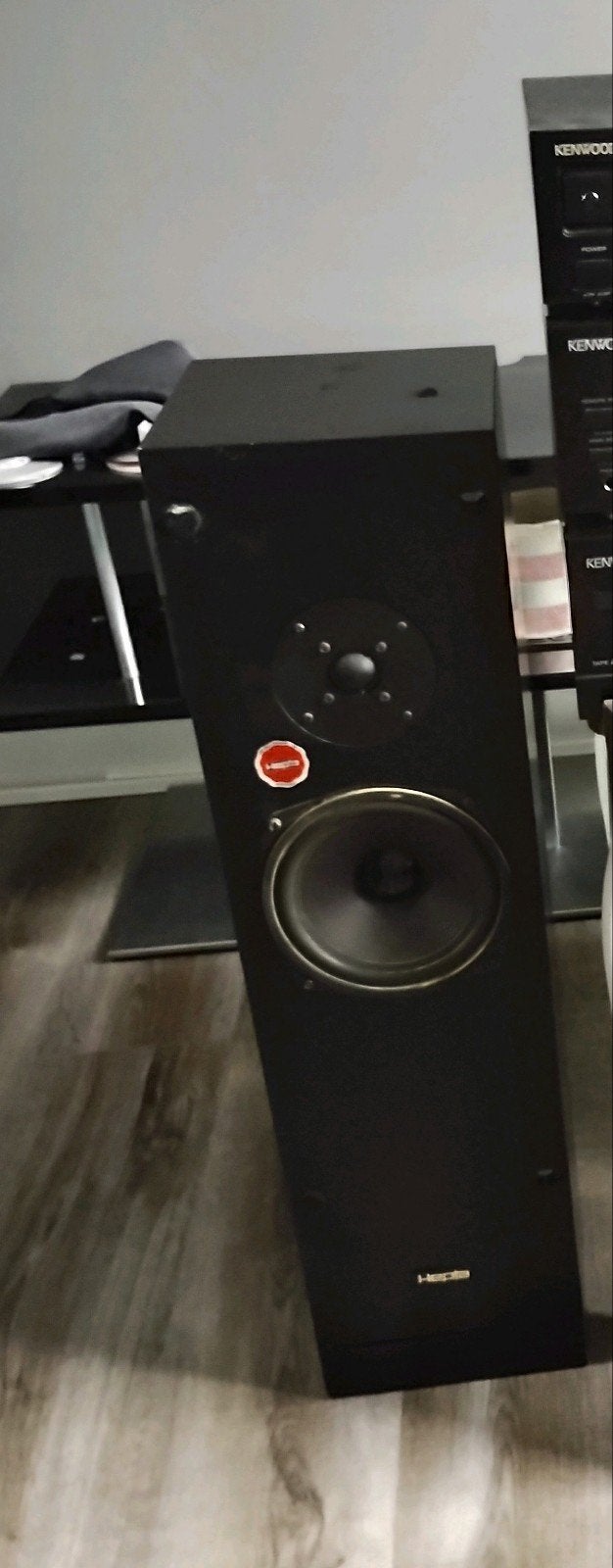 2 Hepta Elan speakers 10-100 Watt rms@8ohm