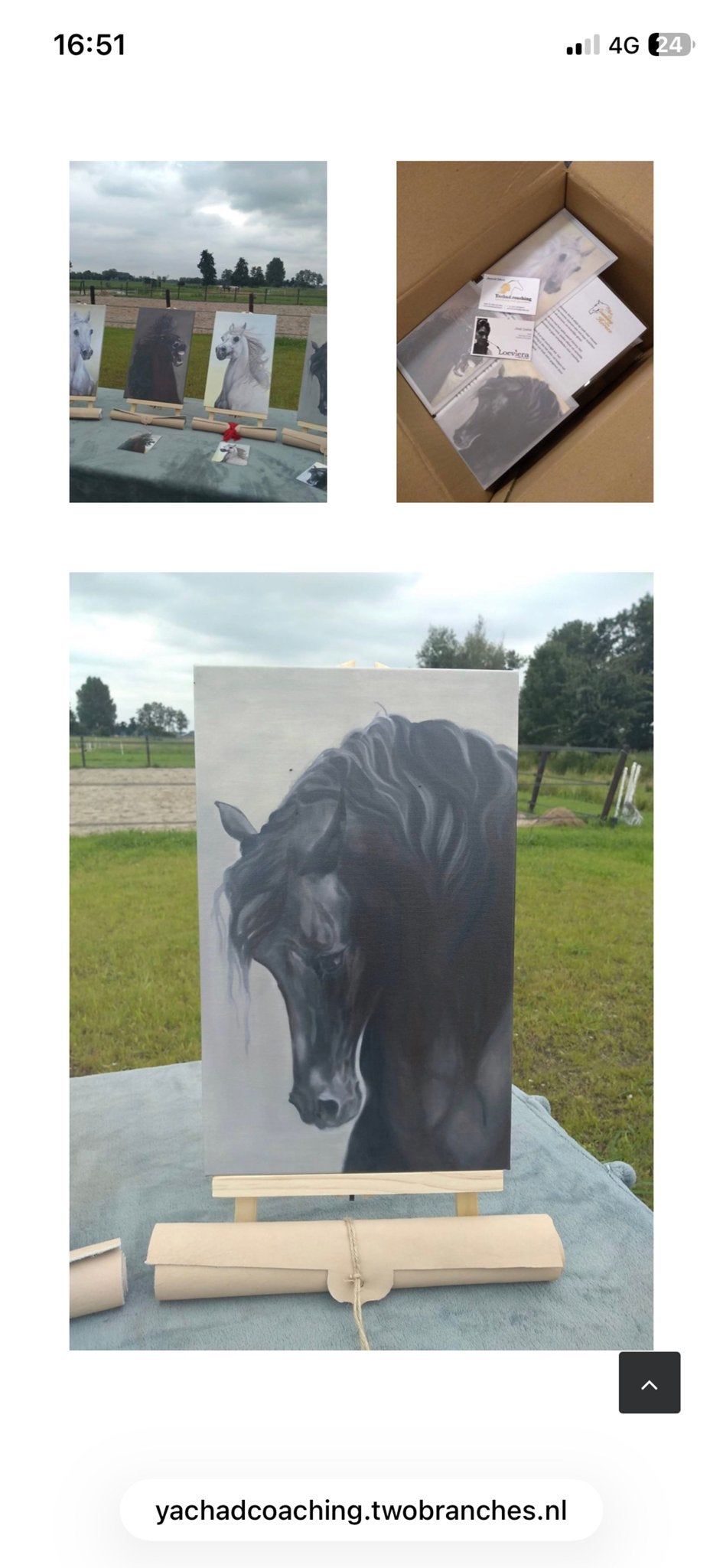 Uniek counselingspakket voor coaching, met of zonder paarden, Ophalen of Verzenden, Nieuw
