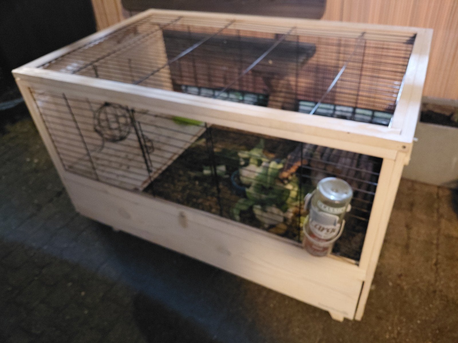 Caviabeertje + mooi hok en toebehoren, Ophalen, 60 tot 90 cm, Hok, Cavia