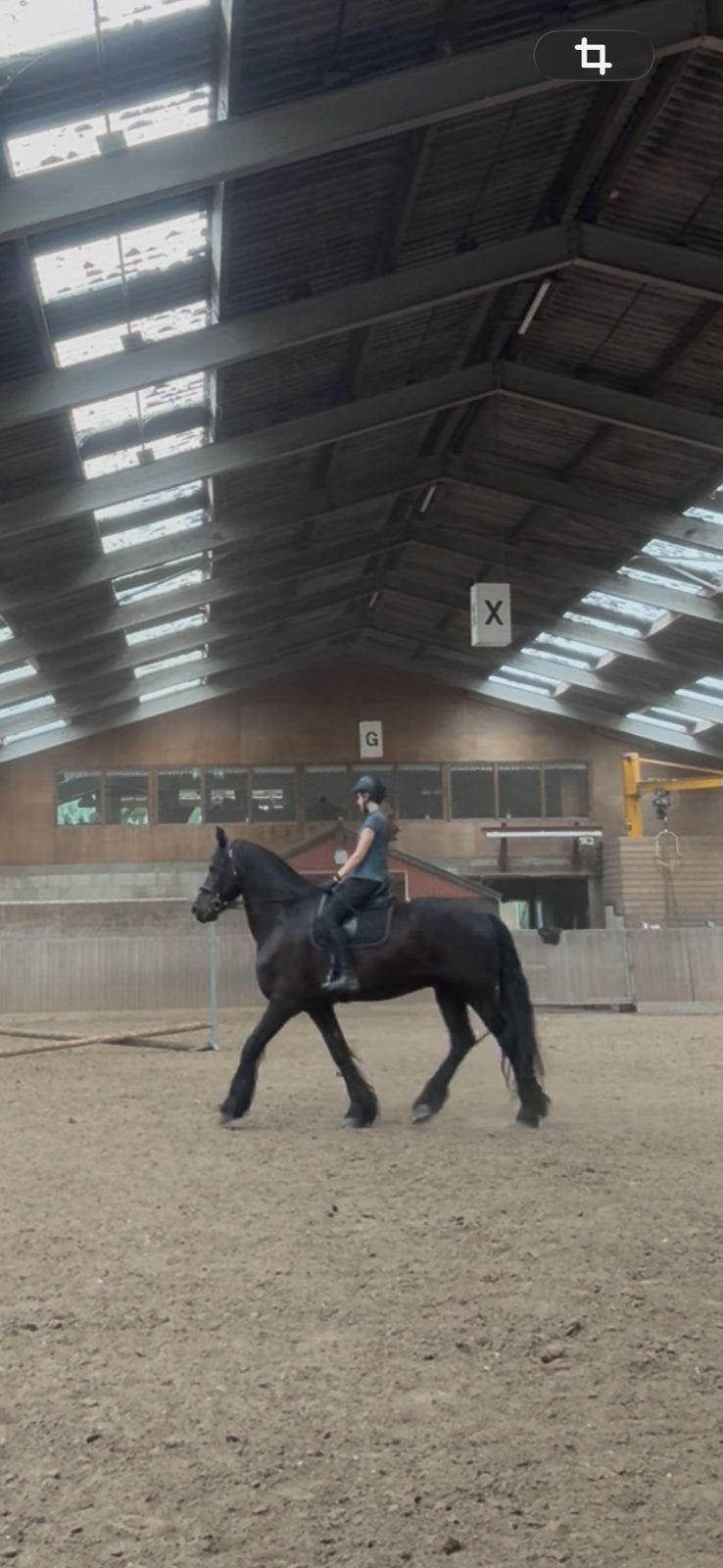 Bijrijdpony/paard gezocht: Peizermade/eelderwolde, Ophalen of Verzenden, Zo goed als nieuw