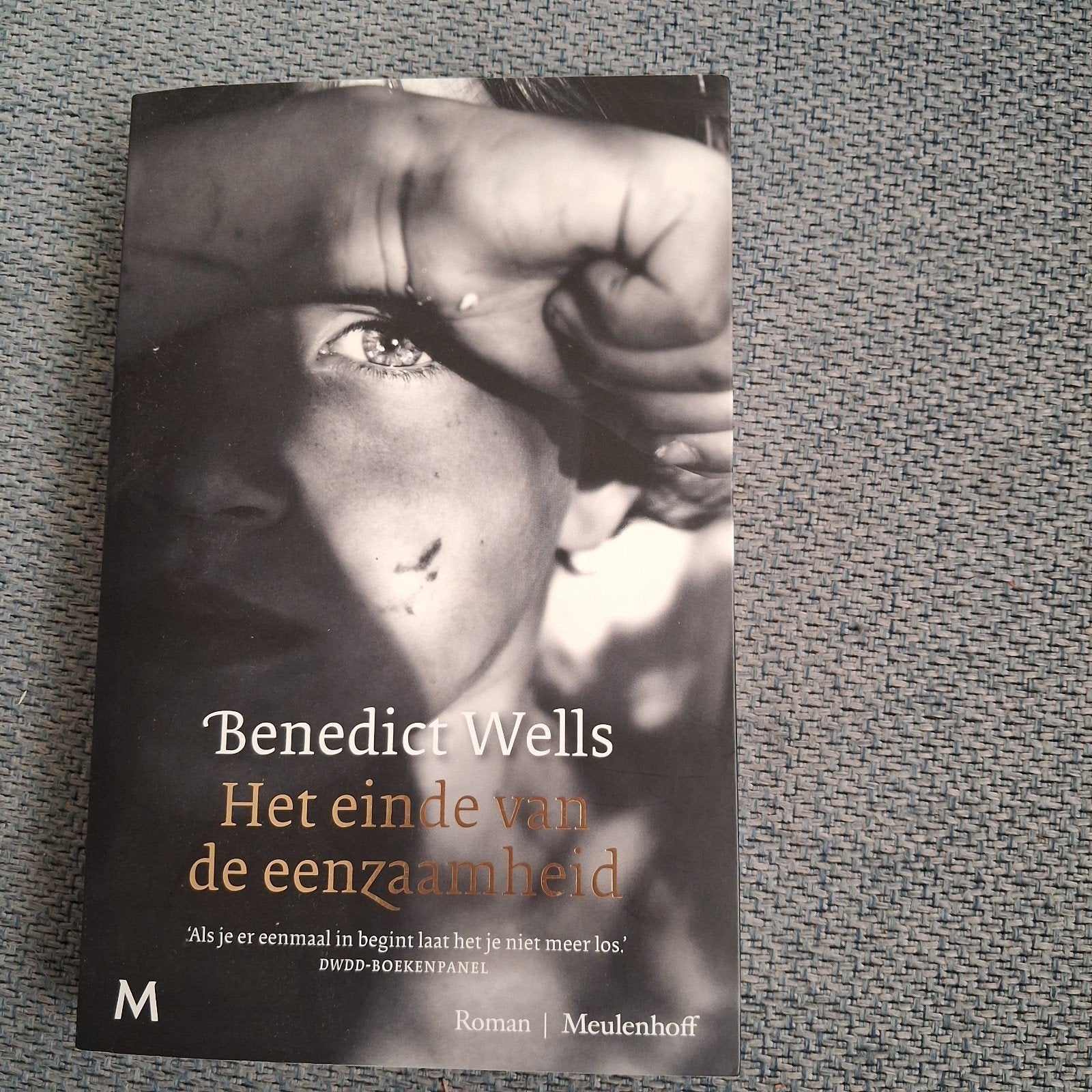 Het einde van de eenzaamheid - Benedict Wells (Roman), Ophalen of Verzenden, Zo goed als nieuw