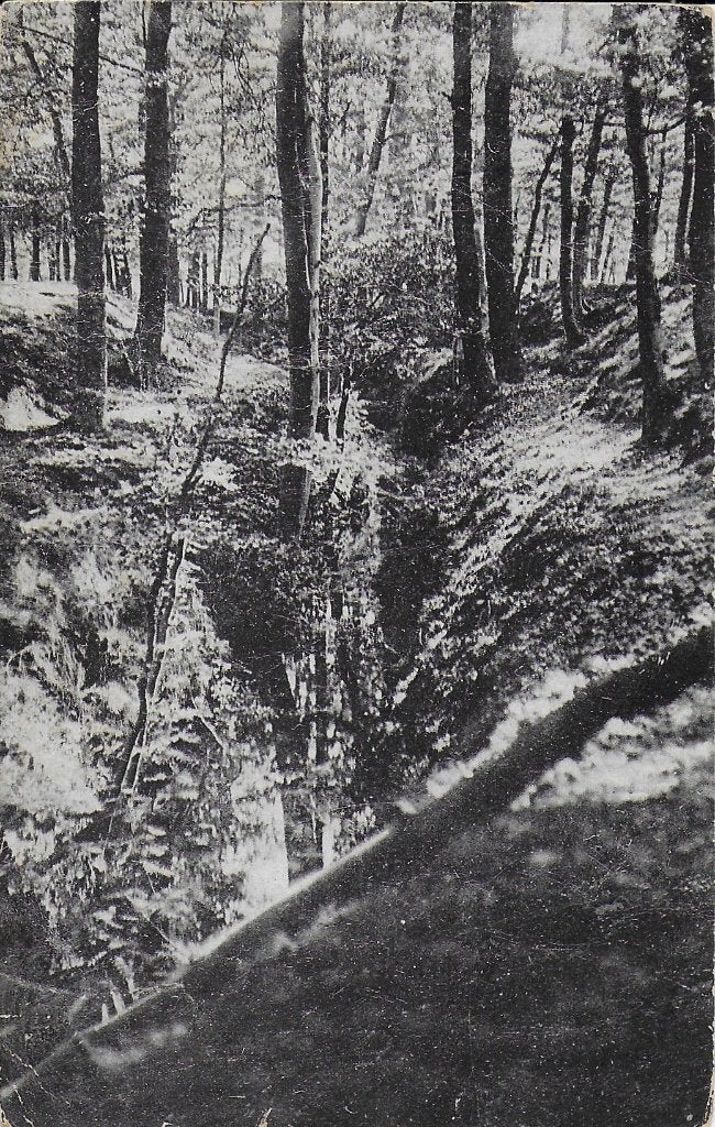 y1334 Gelopen ansichtkaart Putten Klein Zwitserland uit 1922, Ophalen of Verzenden, 1920 tot 1940, Gelopen, Gelderland