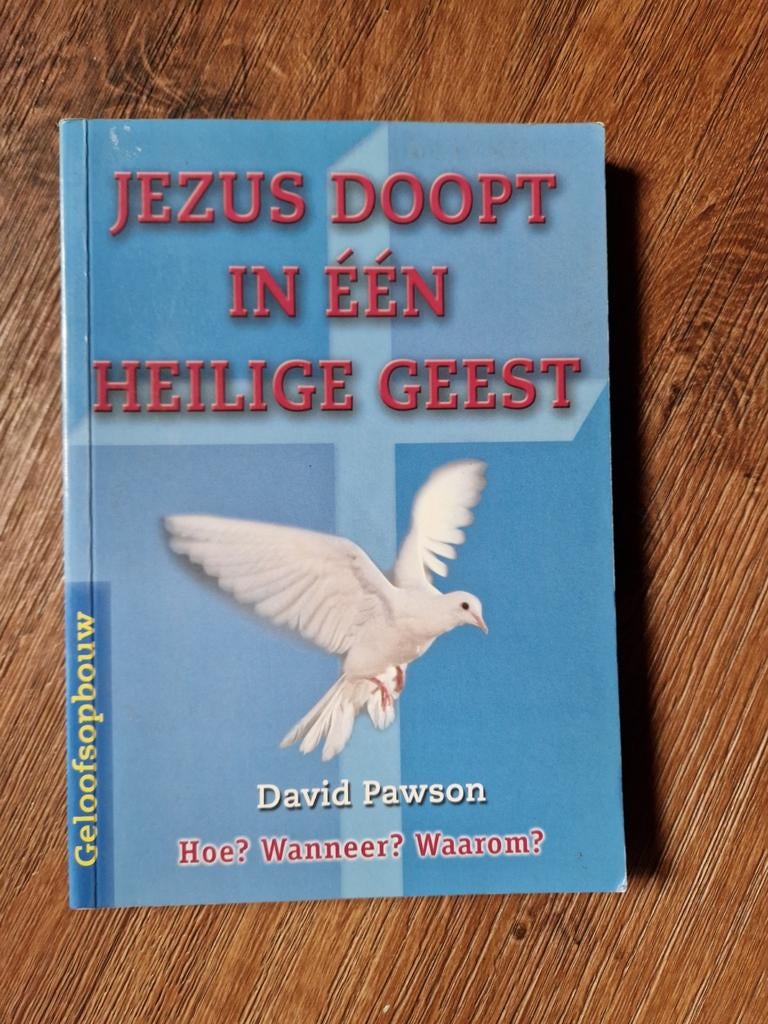 Jezus Doopt in Eén Heilige Geest - David Pawson, Ophalen of Verzenden, Zo goed als nieuw, David Pawson, Christendom | Protestants