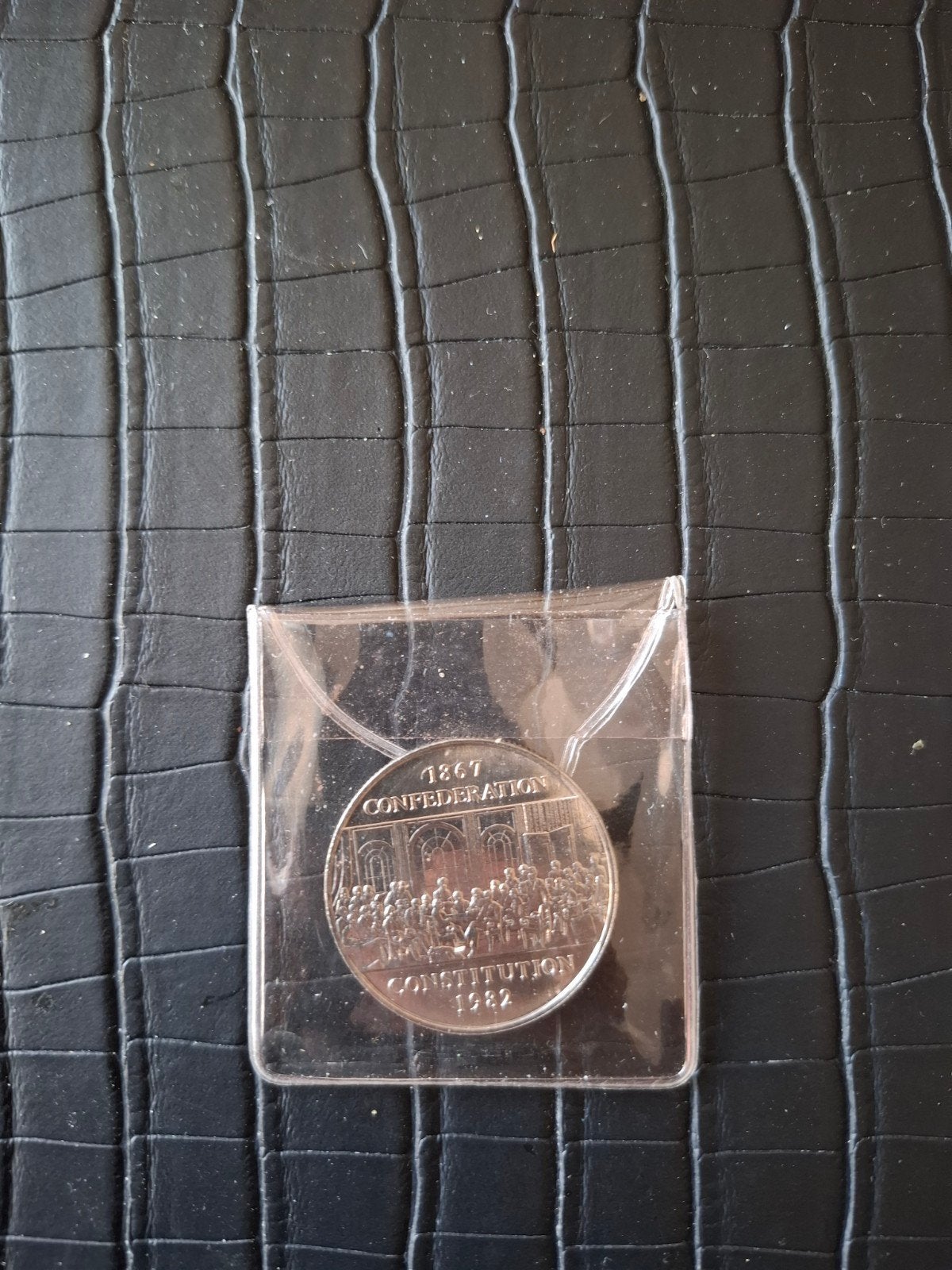 Canadese 1 Dollar Munt 1982 - Elizabeth II, Ophalen, Losse munt