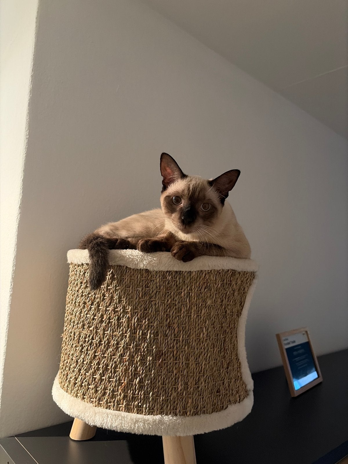 Dekkater, 0 tot 2 jaar