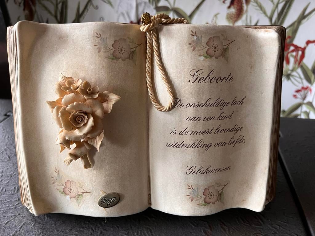 Geboorteboek, Huis en Inrichting, Woonaccessoires | Overige, Ophalen of Verzenden, Zo goed als nieuw