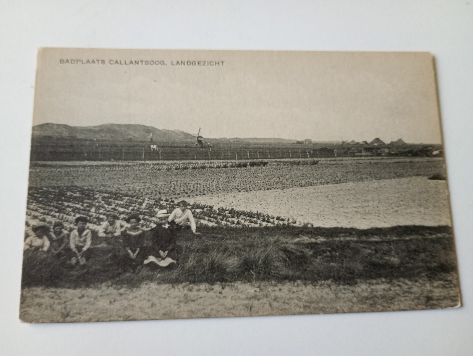 Callantsoog Landgezicht, Verzamelen, Ansichtkaarten | Nederland, Ophalen of Verzenden, Voor 1920, Ongelopen, Noord-Holland
