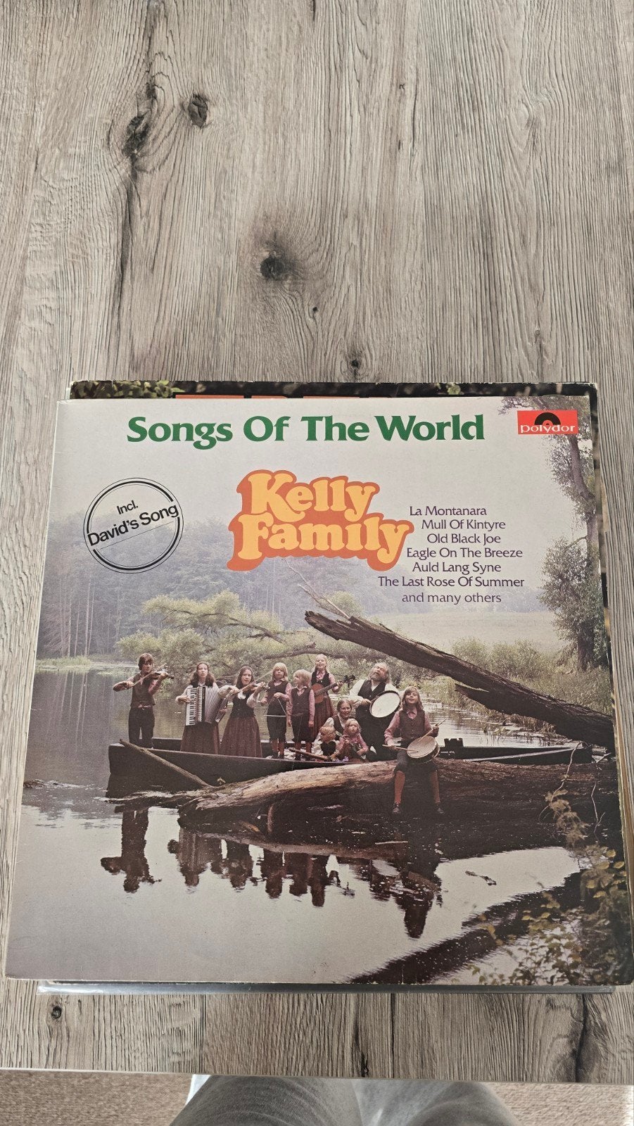 The Kelly Family - Songs Of The World LP (Polydor), LP, Gebruikt, Pop, Ophalen of Verzenden