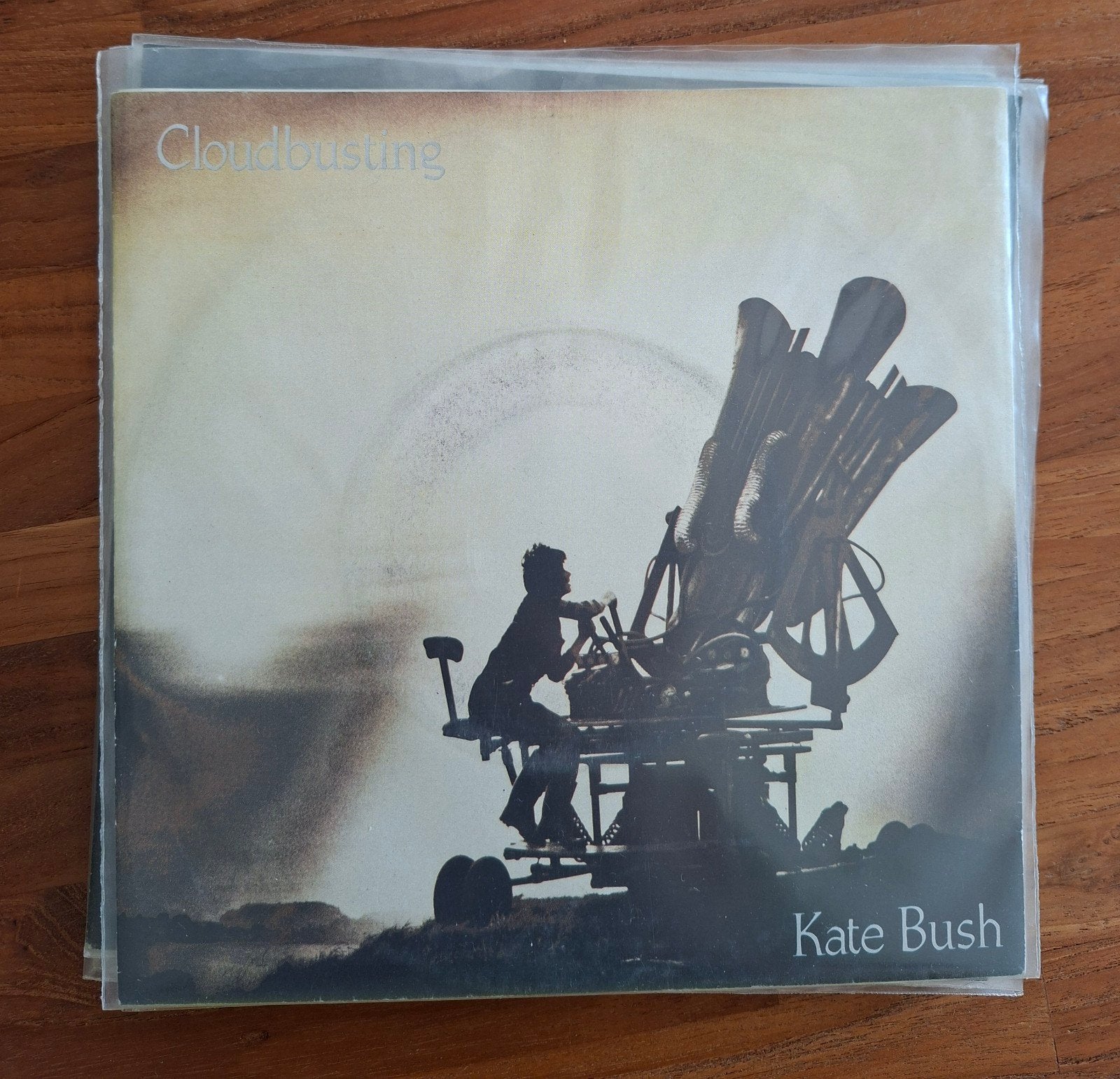 Bush, Kate  - Cloudbursting - Single is TOP, Cd's en Dvd's, Ophalen of Verzenden, Gebruikt, 7 inch, Pop