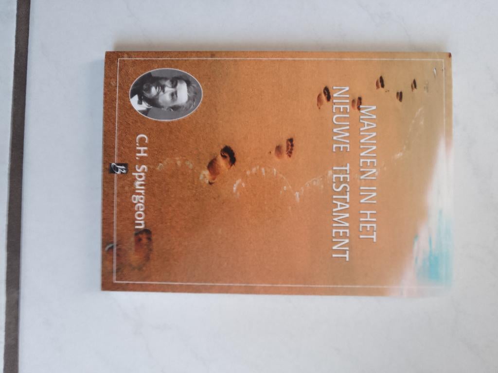 Mannen in het Nieuwe Testament (40) - C.H. Spurgeon, Christendom | Protestants, Ophalen of Verzenden, Zo goed als nieuw, C.H. Spurgeon